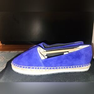 Vibrant Blue Suede Espadrilles